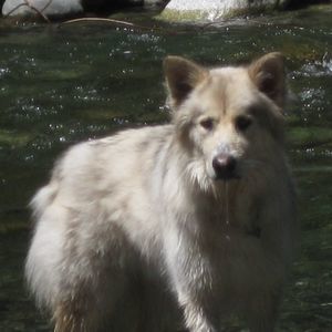 Meet your Posher, Kathleen